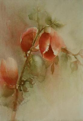 unknow artist Lydia Leydolf Magnolien oil painting image